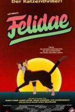 Watch Felidae Zumvo