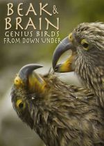 Watch Beak & Brain - Genius Birds from Down Under Zumvo