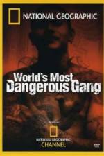 Watch National Geographic World's Most Dangerous Gang Zumvo