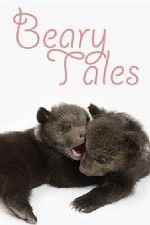 Watch Beary Tales Zumvo