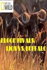 Watch National Geographic - Blood Rivals: Lion vs. Buffalo Zumvo