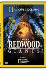 Watch National Geographic Explorer: Climbing Redwood Giants Zumvo