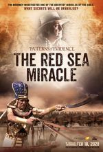 Watch Patterns of Evidence: The Red Sea Miracle Zumvo