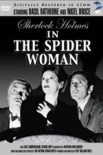 Watch The Spider Woman Zumvo