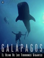 Watch Galapagos: Realm of Giant Sharks Zumvo