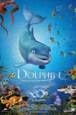 Watch The Dolphin Story of a Dreamer Zumvo