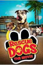 Watch Rescue Dogs Zumvo