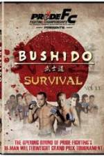 Watch Pride Bushido 11 Zumvo