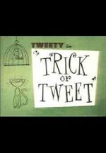 Watch Trick or Tweet Zumvo