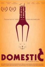 Watch Domestic Zumvo