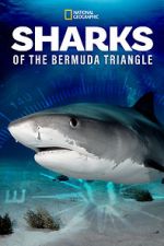 Watch Sharks of the Bermuda Triangle (TV Special 2020) Zumvo