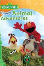 Watch Elmos Animal Adventures Zumvo