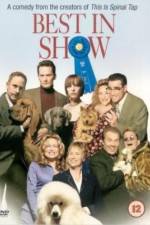 Watch Best in Show Zumvo