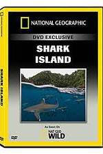 Watch National Geographic: Shark Island Zumvo