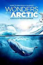 Watch Wonders of the Arctic 3D Zumvo