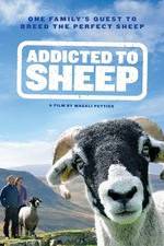 Watch Addicted to Sheep Zumvo