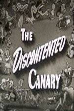 Watch The Discontented Canary Zumvo
