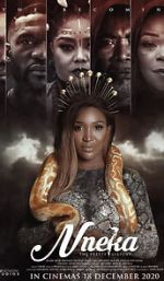 Watch Nneka the Pretty Serpent Zumvo