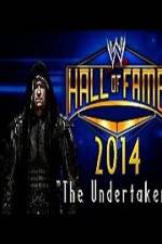 Watch WWE Hall Of Fame 2014 Zumvo