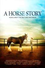 Watch A Horse Story Zumvo