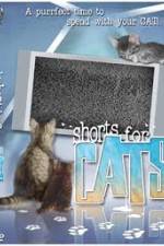 Watch Shorts for Cats Zumvo