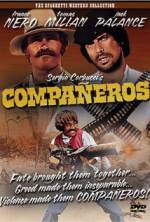 Watch Companeros Zumvo