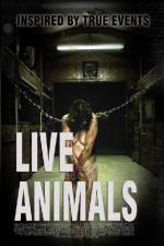 Watch Live Animals Zumvo