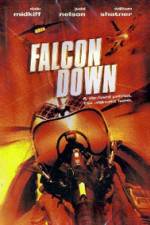 Watch Falcon Down Zumvo
