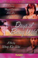 Watch Days of Being Wild Zumvo