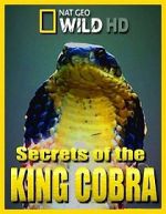 Watch Secrets of the King Cobra Zumvo