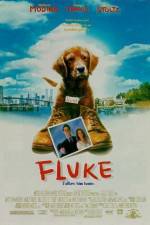 Watch Fluke Zumvo