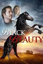 Watch Black Beauty Zumvo