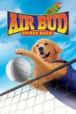 Watch Air Bud: Spikes Back Zumvo