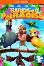 Watch Birds of Paradise Zumvo