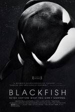 Watch Blackfish Zumvo