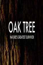 Watch Oak Tree Natures Greatest Survivor Zumvo