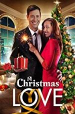 Watch A Christmas Love Zumvo