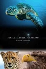 Watch Turtle, Eagle, Cheetah: A Slow Odyssey Zumvo