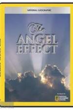 Watch National Geographic Explorer - The Angel Effect Zumvo