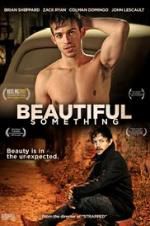 Watch Beautiful Something Zumvo