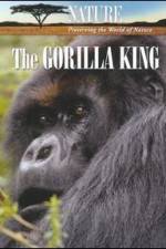 Watch Nature The Gorilla King Zumvo