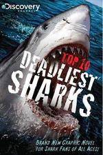 Watch National Geographic Worlds Deadliest Sharks Zumvo