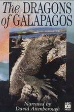 Watch The Dragons of Galapagos Zumvo