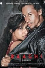 Watch Baaghi Zumvo