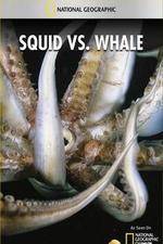 Watch National Geographic Wild - Squid Vs Whale Zumvo