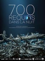 Watch 700 requins dans la nuit Zumvo