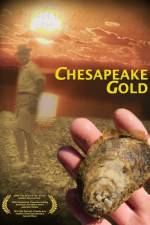 Watch Chesapeake Gold Zumvo