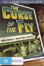 Watch Curse of the Fly Zumvo