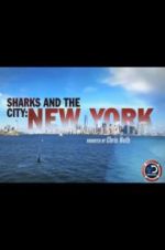 Watch Sharks and the City: New York Zumvo