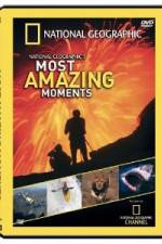 Watch National Geographic's Most Amazing Moments Zumvo